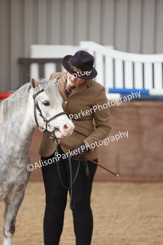 20251109-0661 - Class 22 - Geldings 4 Years and over