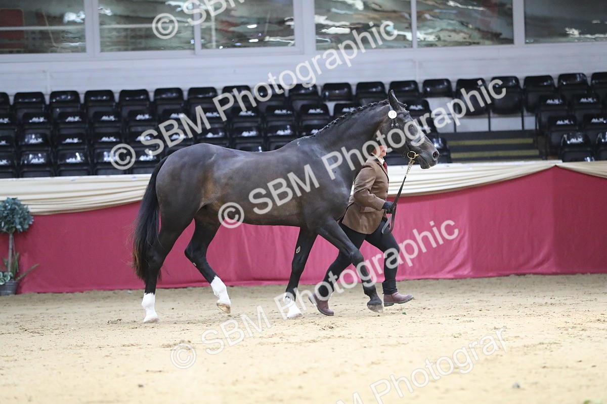 SBM_04398 - Class 7R Regional - IH Diamond