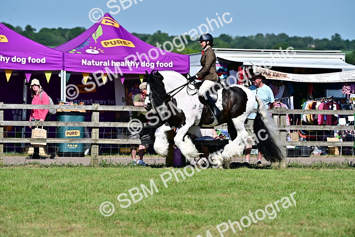 SBM_19375 - Class 101-102 - BSPS LIHS Performance Coloured Horse/Pony