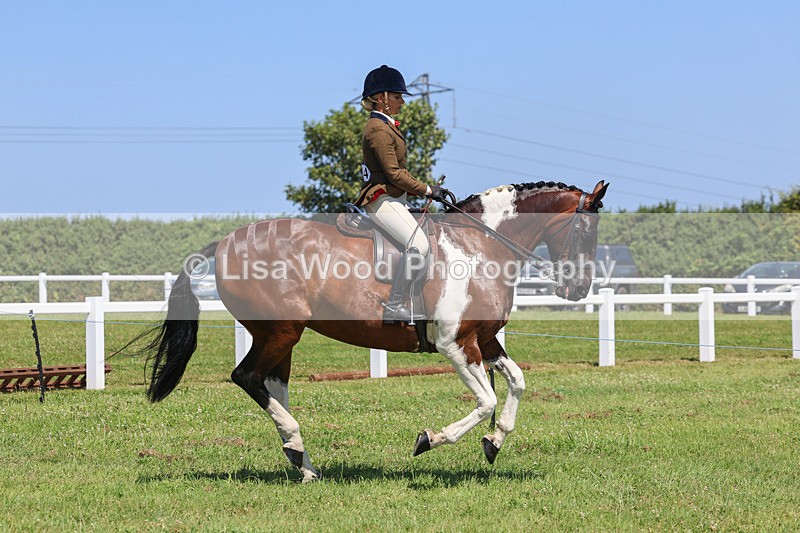 IMG_2346 - Class 38: Veteran Ridden