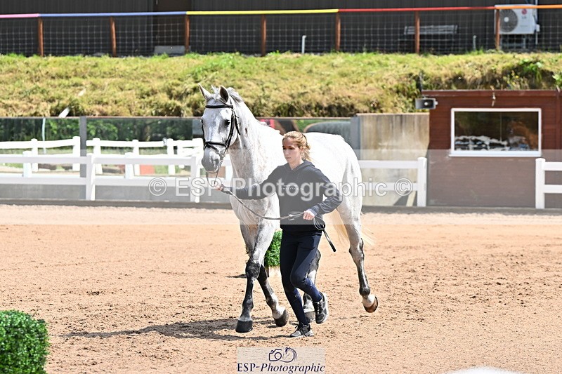 240718A-105249-01191 - Trot Up 12pm to 1pm