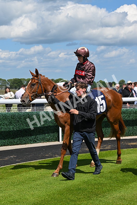 080624-Race 2-Perfect Part-0750