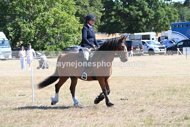 WJ6_8224 - Class 37a Best Loan Pony Ridden