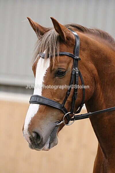 SIAL2907 - Sunday 14th Ridden