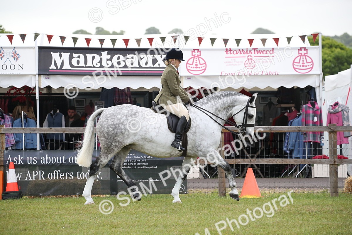 SBM_11040 - Class 92-93 - LIHS BSHA Rising Star Cobs