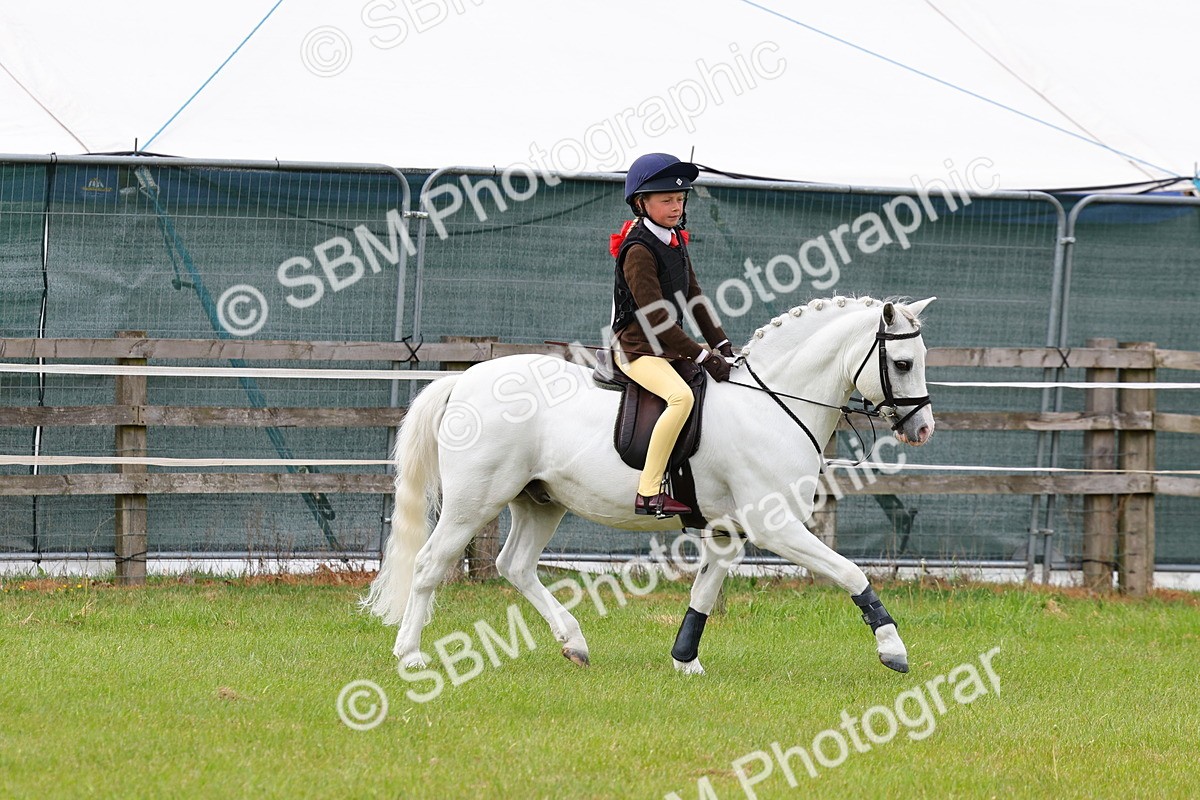 SBM_09579 - Class 44-45 - LIHS BSPS Open Nursery and Cradle Stakes