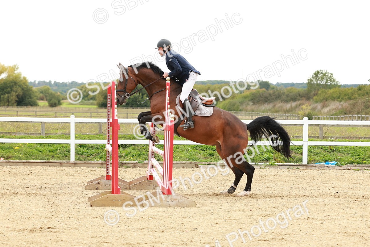 1I0A7102 - Class 2 - Senior British Novice