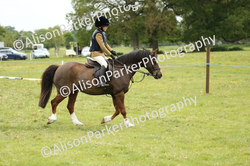 20250517-1156 - Class 21 - Novice Working Hunter