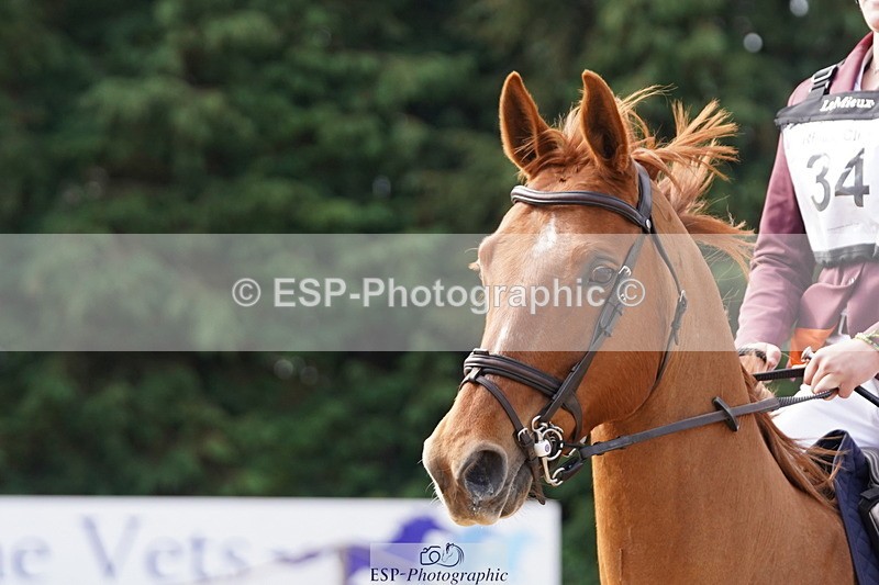 250420A-103404-00395 - Cls 02 70cm