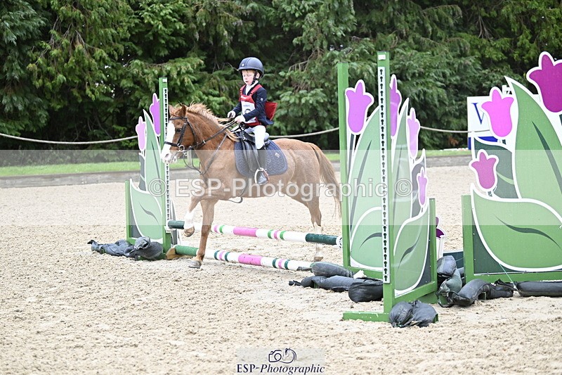 251005A-083339-02814 - Cls 01 GR 40cm