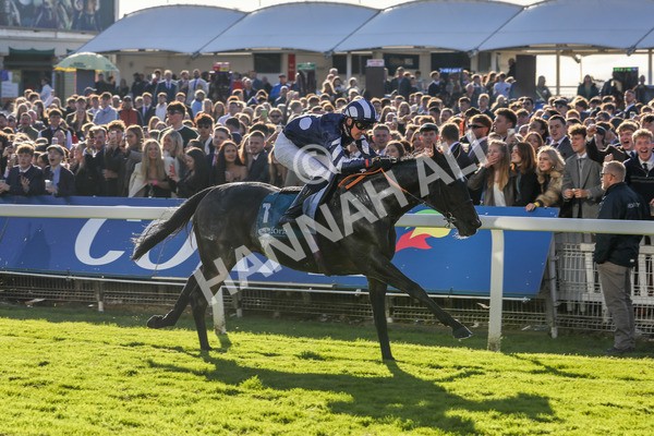 141023-Race 5-Certain Lad-0544 - Race 5 3.35pm Coral Racing Bet Bundles Handicap