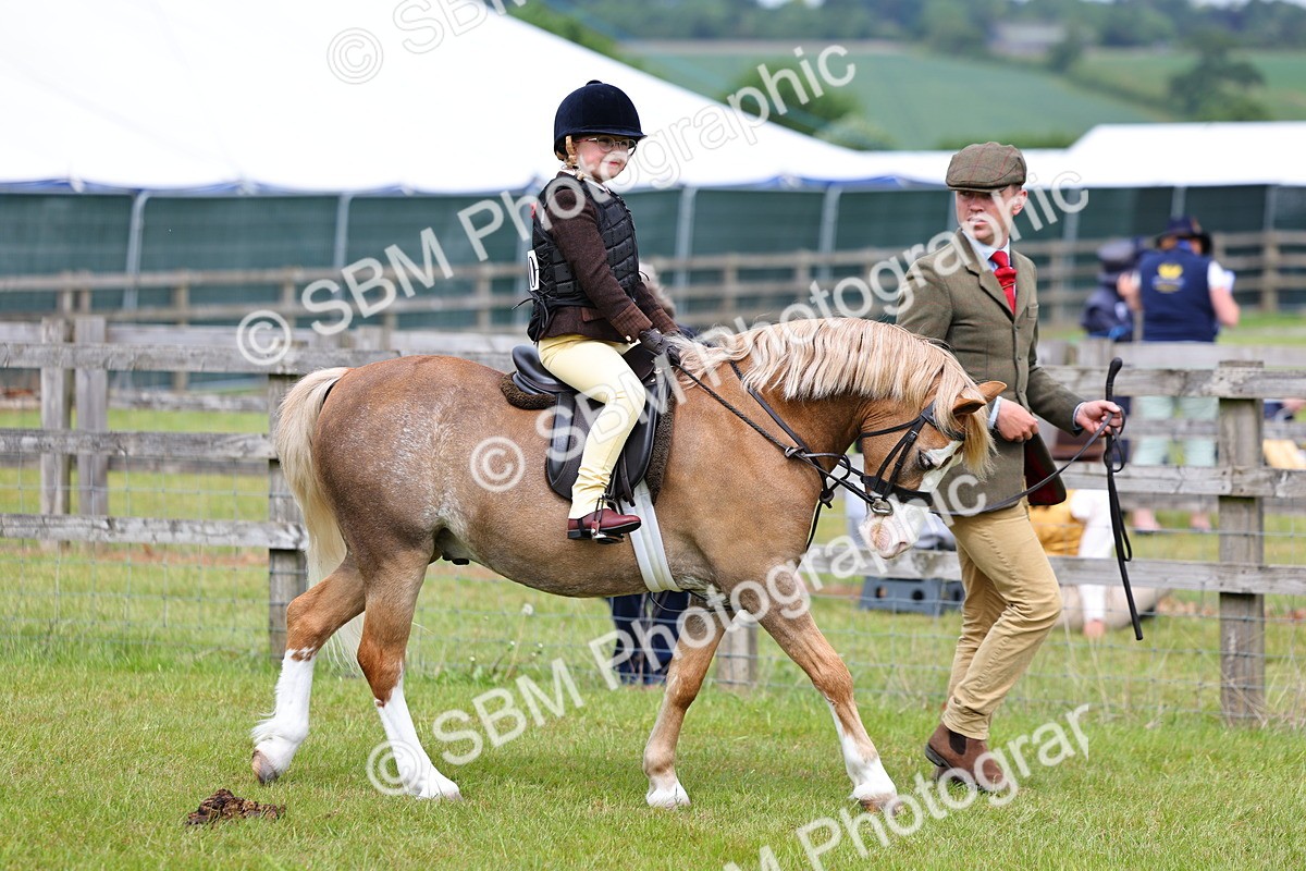 SBM_08057 - Class 42-43 - LIHS BSPS Heritage Working Sports Pony