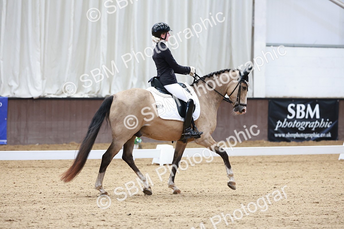 SBM_017346 - Class15 - FEI Pony