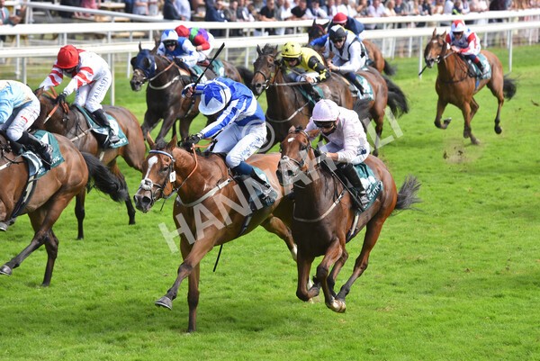 yr10072021r5-28 - Race 5: 4.05pm John Smith's Cup