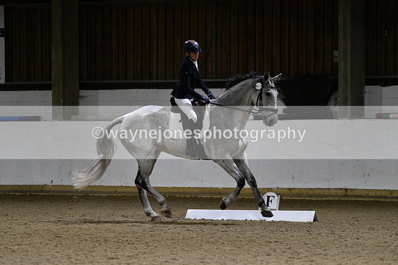 WJ5_8897 - Class 5 Novice Test 3