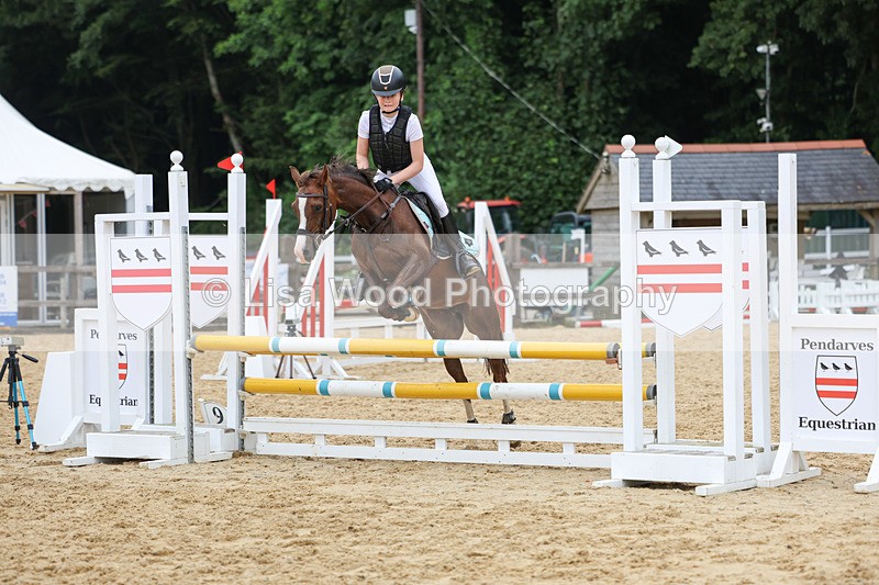 3E7A6811 - Class 13: Pony British Noise/80cm open