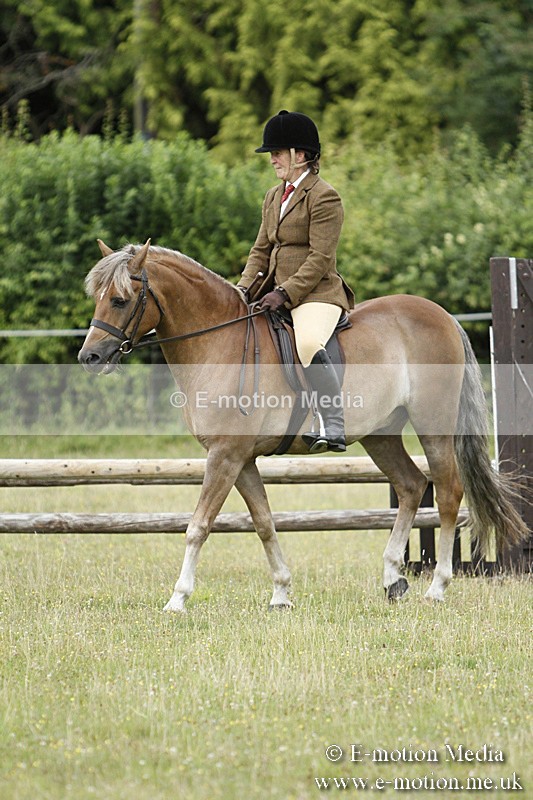 BVR160717-127 - Ring 3 BVRC Show 16/07/17