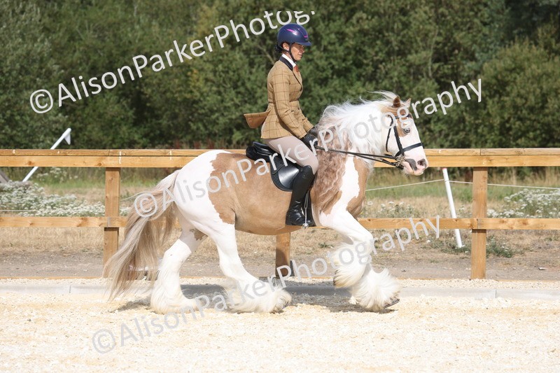 20260802-0430 - Class 6 - Veteran Ridden