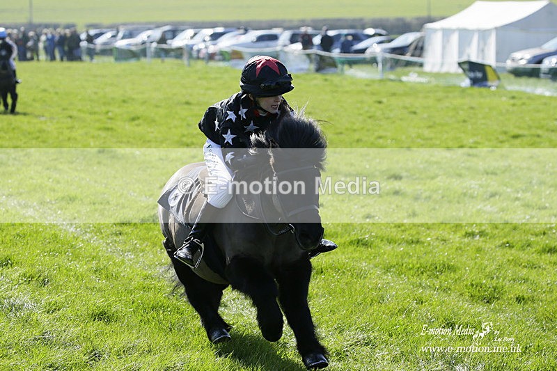 PtP 190322 34 - Wilton Hunt PtP Milborne St Andrew 19/03/22