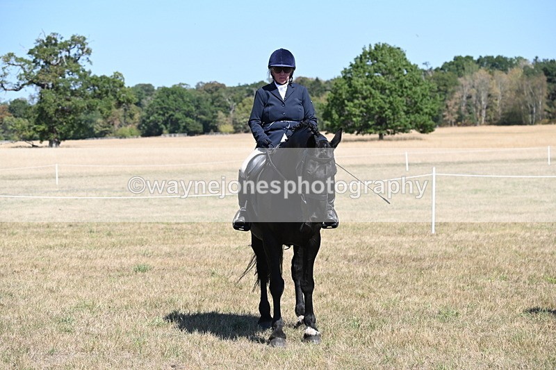 WJ6_8411 - Class 37a Best Loan Pony Ridden