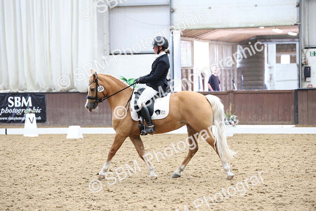 SBM_007558 - Class 23 - Medium FSM Bronze