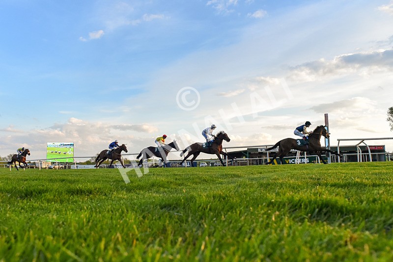 300424-Race 6-Kodi Lion-4253 - Race 6