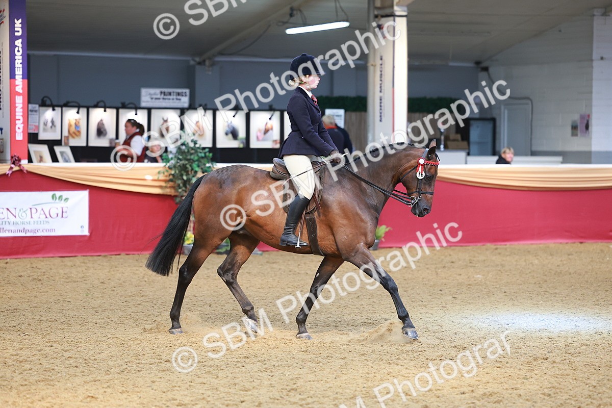 SBM_10621 - Class 103 - HOYS Veteran Qualifier - Ridden Pre Vet