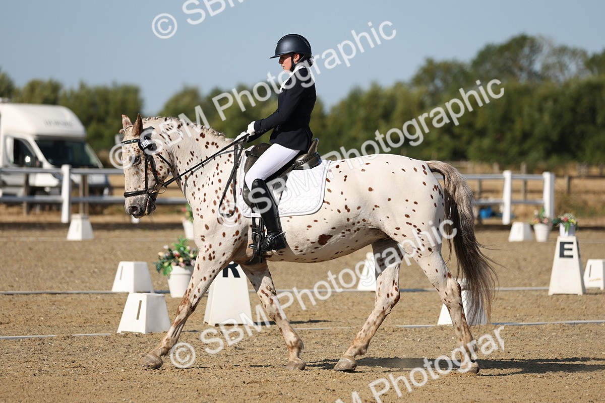 SBM_012679 - Class 1 - P5 Bronze 9.00.10.12