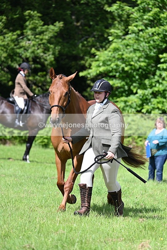 WJ7_1084 - Class 11 Condition & Turnout