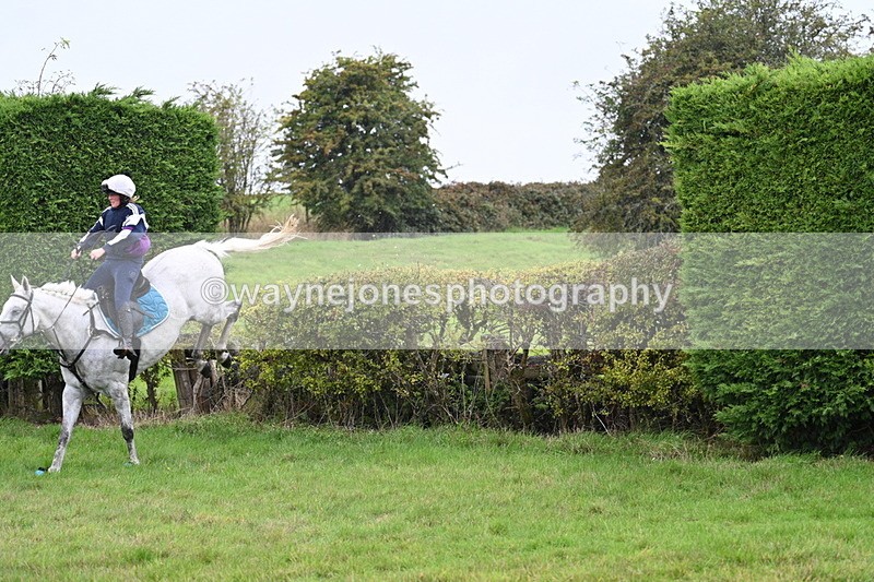 WJ7_9134 - Time 13:31 to 14:00