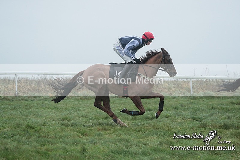 PtP 101223 502 - New Forest Hounds PtP Larkhill 10/12/23