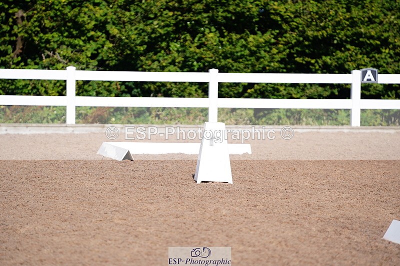 240809A-085144-00117 - Dressage Competition