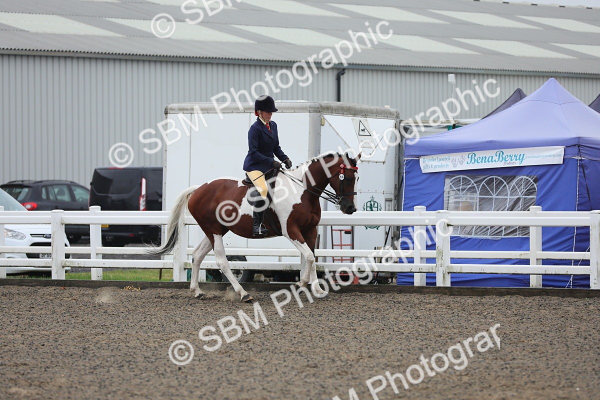 SBM_19904 - Class 801 - Ridden Veteran