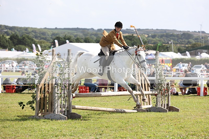 JPP_2497 - Class 20: Working Hunter 70cm