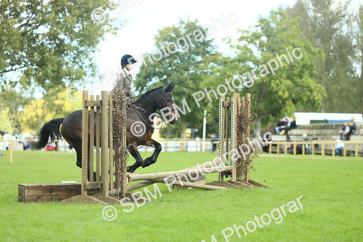 SBM_42035 - S29 - Novice & Newcomers Working Hunter Pony