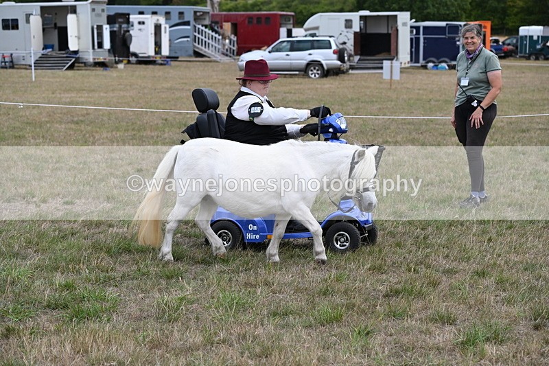 WJ6_6016 - Class 19 In-hand Veterans (Uploaded correct folder)