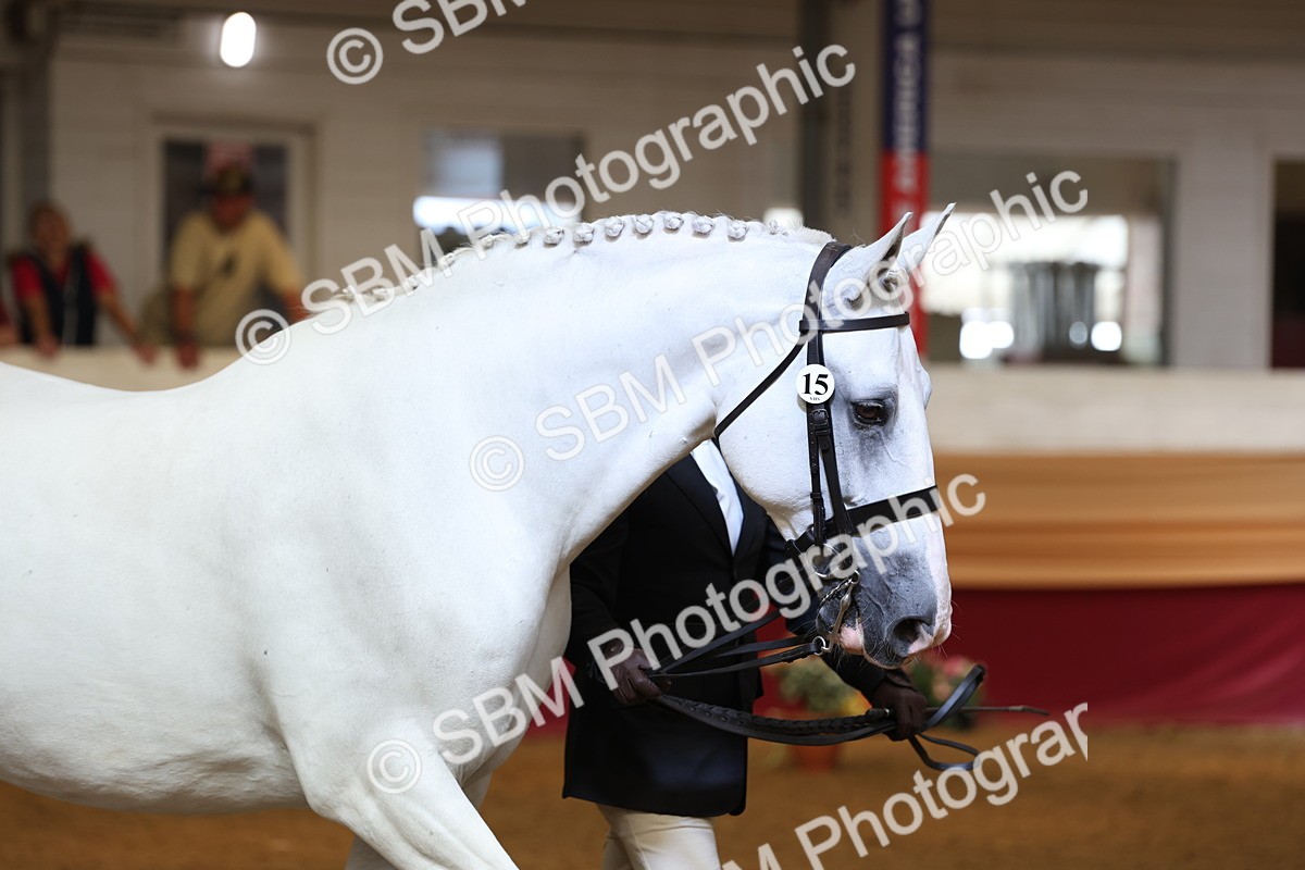 SBM_23386 - Class 903 - Supreme Final - IH Pre Vet