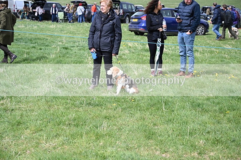 WJ6_8207 - Class 4 Prettiest Bitch