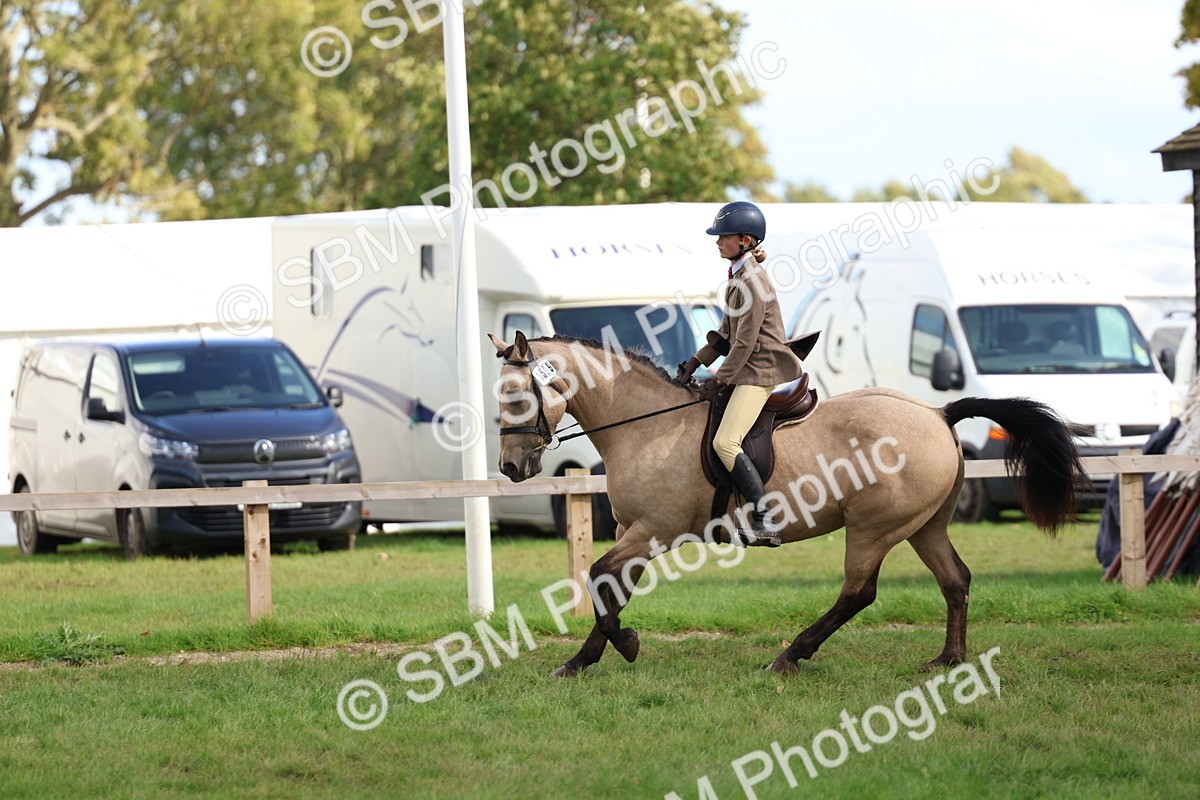 SBM_47727 - S28 - Veteran Ridden