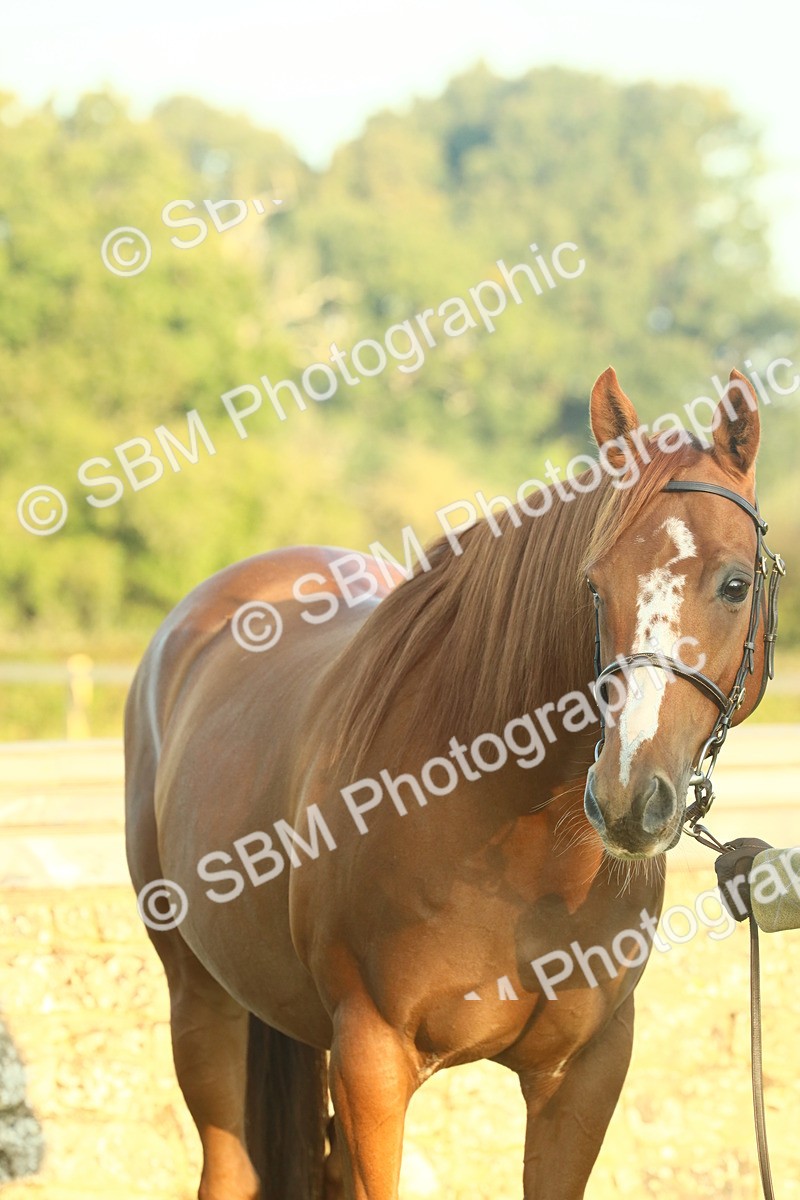 SBM_56554 - S36 - Starters Best Turnout