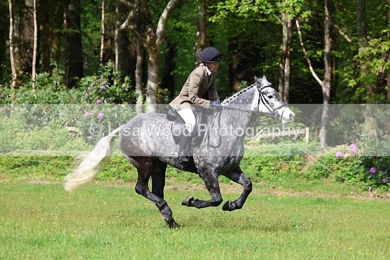 3E7A2693 - Working Hunter Championship