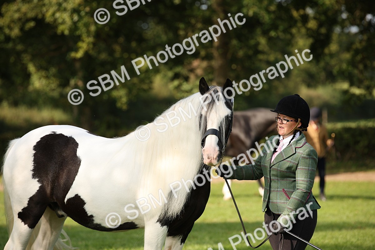 SBM_61194 - S54 - Show Cob In Hand