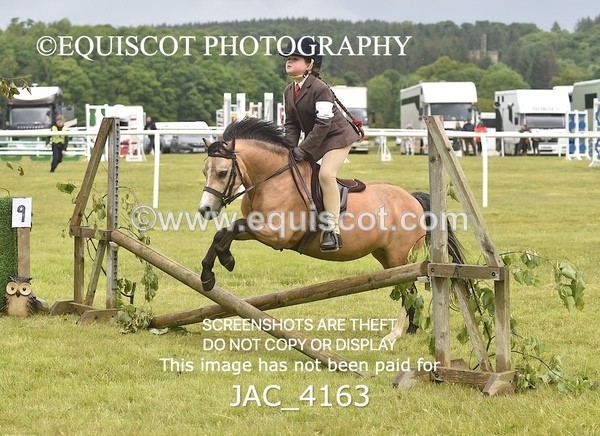 JAC_4163 - 30CM WORKING HUNTER