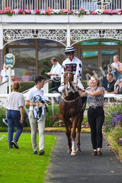 100923-Race 7-Looking For Lynda-1271 - Race 7 4.55pm Brian Taylor 50 Not Out Apprentice Handicap