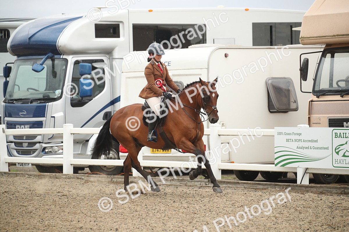 SBM_18424 - Class 509B - Working Veteran - 80cm (20+)