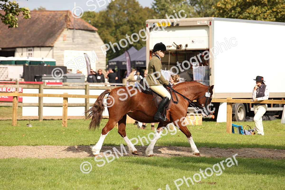 SBM_49965 - S26 - Young Veteran - Ridden