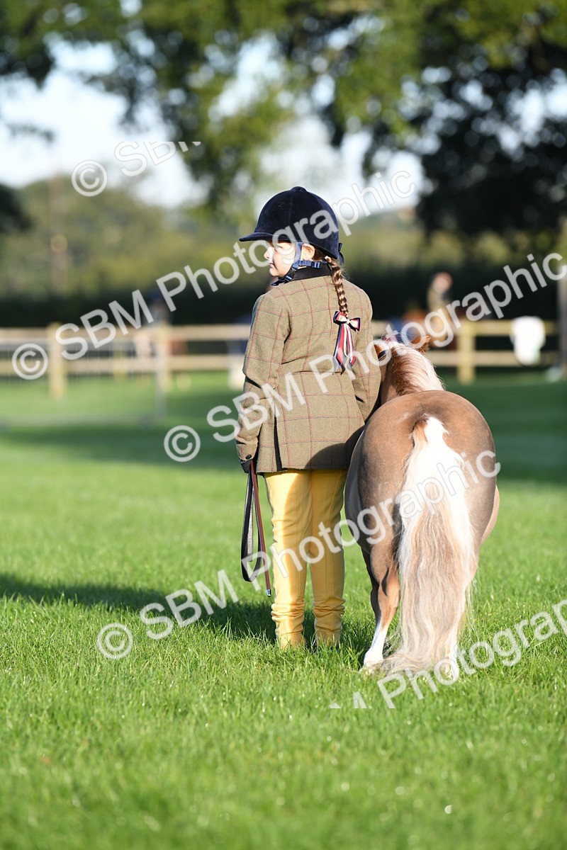SBM_32756 - S15 - Condition & Turnout In Hand