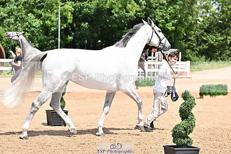 240718A-105301-01457 - Trot Up 12pm to 1pm
