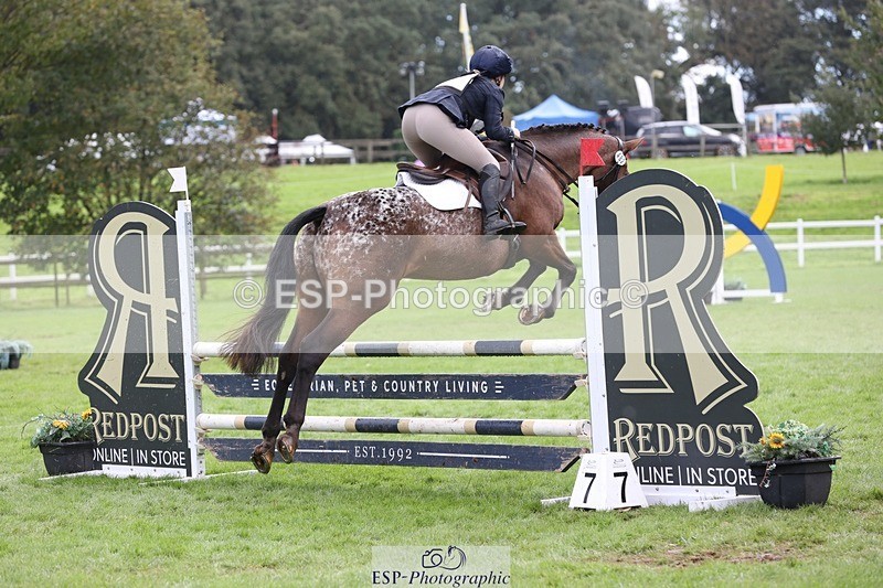 231022-133306-27761 - 482-ODDSPOT.VITAL.ELEMENT-Danielle.Davies-TrotUp+SJ