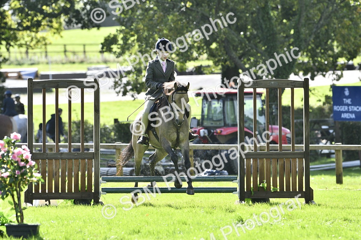 SBM_38245 - S31 - Novice & Newcomer Working Hunter Pony